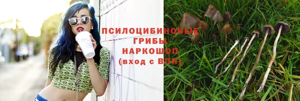 винт Верхний Тагил