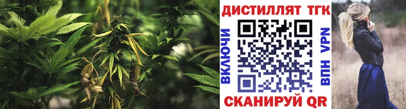 ТГК концентрат  Горбатов 